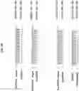 Fig. 12 - INTRODUCING SILENCING ACTIVITY TO DYSFUNCTIONAL RNA MOLECULES AND MODIFYING THEIR SPECIFICITY AGAINST A GENE OF INTEREST