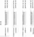 Fig. 15 - INTRODUCING SILENCING ACTIVITY TO DYSFUNCTIONAL RNA MOLECULES AND MODIFYING THEIR SPECIFICITY AGAINST A GENE OF INTEREST