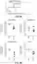 Fig. 07 - COMPOSITIONS AND METHODS FOR THE TREATMENT OF KRAS ASSOCIATED DISEASES OR DISORDERS