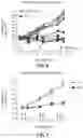 Fig. 08 - COMPOSITIONS AND METHODS FOR THE TREATMENT OF KRAS ASSOCIATED DISEASES OR DISORDERS