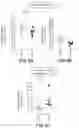 Fig. 09 - COMPOSITIONS AND METHODS FOR THE TREATMENT OF KRAS ASSOCIATED DISEASES OR DISORDERS