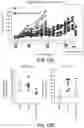 Fig. 16 - COMPOSITIONS AND METHODS FOR THE TREATMENT OF KRAS ASSOCIATED DISEASES OR DISORDERS