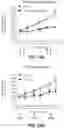 Fig. 20 - COMPOSITIONS AND METHODS FOR THE TREATMENT OF KRAS ASSOCIATED DISEASES OR DISORDERS