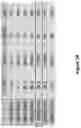 Fig. 05 - Altering Gene Expression in Modified T Cells and Uses Thereof
