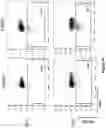 Fig. 08 - Altering Gene Expression in Modified T Cells and Uses Thereof