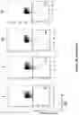 Fig. 10 - Altering Gene Expression in Modified T Cells and Uses Thereof