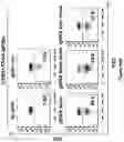 Fig. 101 - Altering Gene Expression in Modified T Cells and Uses Thereof