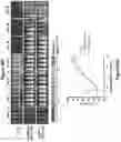 Fig. 113 - Altering Gene Expression in Modified T Cells and Uses Thereof