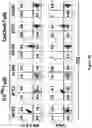 Fig. 120 - Altering Gene Expression in Modified T Cells and Uses Thereof