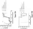 Fig. 130 - Altering Gene Expression in Modified T Cells and Uses Thereof