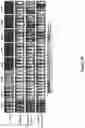 Fig. 131 - Altering Gene Expression in Modified T Cells and Uses Thereof