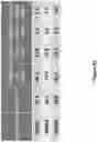 Fig. 150 - Altering Gene Expression in Modified T Cells and Uses Thereof