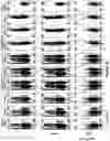 Fig. 151 - Altering Gene Expression in Modified T Cells and Uses Thereof