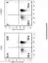 Fig. 16 - Altering Gene Expression in Modified T Cells and Uses Thereof