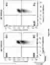 Fig. 22 - Altering Gene Expression in Modified T Cells and Uses Thereof
