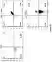 Fig. 23 - Altering Gene Expression in Modified T Cells and Uses Thereof