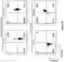 Fig. 29 - Altering Gene Expression in Modified T Cells and Uses Thereof