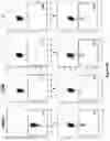 Fig. 37 - Altering Gene Expression in Modified T Cells and Uses Thereof