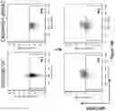 Fig. 53 - Altering Gene Expression in Modified T Cells and Uses Thereof