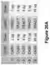 Fig. 62 - Altering Gene Expression in Modified T Cells and Uses Thereof