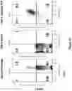 Fig. 66 - Altering Gene Expression in Modified T Cells and Uses Thereof