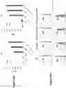 Fig. 77 - Altering Gene Expression in Modified T Cells and Uses Thereof