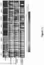 Fig. 78 - Altering Gene Expression in Modified T Cells and Uses Thereof