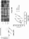 Fig. 82 - Altering Gene Expression in Modified T Cells and Uses Thereof