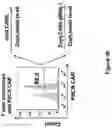 Fig. 83 - Altering Gene Expression in Modified T Cells and Uses Thereof
