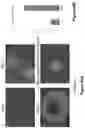 Fig. 92 - Altering Gene Expression in Modified T Cells and Uses Thereof