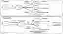 Fig. 01 - Excisable INHT31 transgenic soybean glyphosate tolerance locus