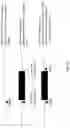 Fig. 07 - Excisable INHT31 transgenic soybean glyphosate tolerance locus