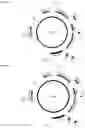 Fig. 10 - Endogenous plant expression enhancer