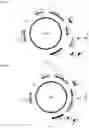 Fig. 18 - Endogenous plant expression enhancer