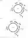 Fig. 23 - Endogenous plant expression enhancer