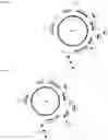 Fig. 26 - Endogenous plant expression enhancer
