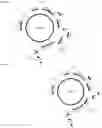 Fig. 27 - Endogenous plant expression enhancer