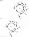 Fig. 28 - Endogenous plant expression enhancer