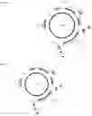 Fig. 29 - Endogenous plant expression enhancer