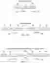 Fig. 03 - NOVEL INTERGENIC SEQUENCE REGIONS AND USES THEREOF