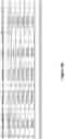 Fig. 07 - Gene Regulating Seed Weight in Improving Seed Yield in Soybean