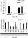 Fig. 09 - Gene Regulating Seed Weight in Improving Seed Yield in Soybean