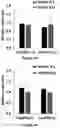 Fig. 17 - Gene Regulating Seed Weight in Improving Seed Yield in Soybean