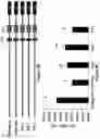 Fig. 23 - Gene Regulating Seed Weight in Improving Seed Yield in Soybean