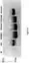 Fig. 35 - Gene Regulating Seed Weight in Improving Seed Yield in Soybean