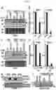 Fig. 07 - ENHANCING DROUGHT, SALINITY AND COLD TOLERANCE IN PLANTS AND TREES
