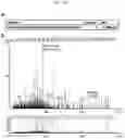 Fig. 12 - ENHANCING DROUGHT, SALINITY AND COLD TOLERANCE IN PLANTS AND TREES