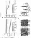 Fig. 13 - ENHANCING DROUGHT, SALINITY AND COLD TOLERANCE IN PLANTS AND TREES