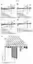 Fig. 15 - ENHANCING DROUGHT, SALINITY AND COLD TOLERANCE IN PLANTS AND TREES