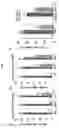 Fig. 17 - ENHANCING DROUGHT, SALINITY AND COLD TOLERANCE IN PLANTS AND TREES